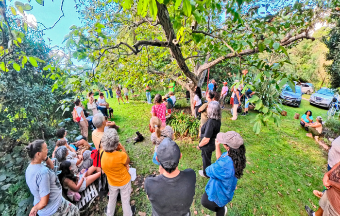 Villa Giardino: renace la Fiesta del Cosmos con un recorrido botánico y cultural