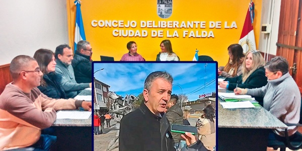 Dieminger: define como político al proyecto de  suprimir gastos de representación