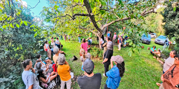 Villa Giardino: renace la Fiesta del Cosmos con un recorrido botánico y cultural