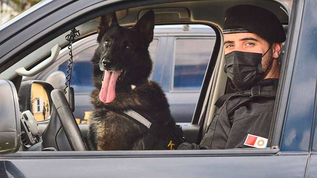 Se retira Buster, el perro nacido en la FPA y con 344 intervenciones positivas