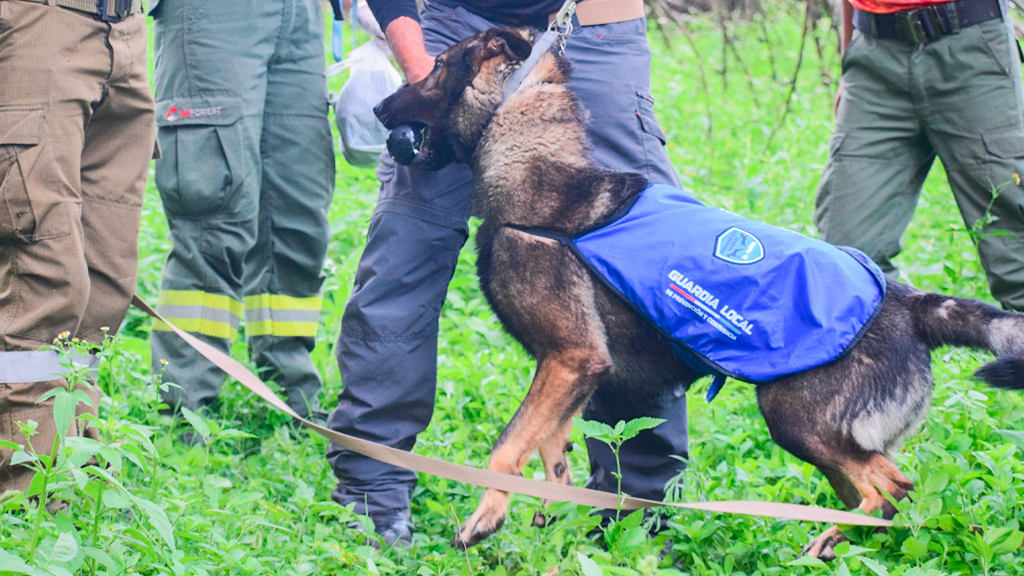 La Falda incorporó a SHAMAL, el primer perro rastreador de la Guardia Local