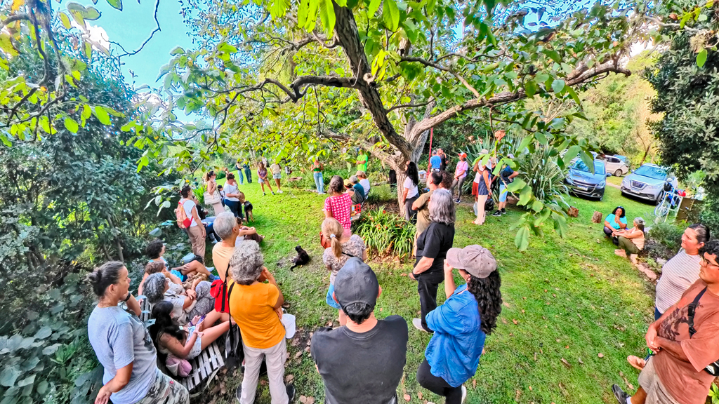 Villa Giardino: renace la Fiesta del Cosmos con un recorrido botánico y cultural