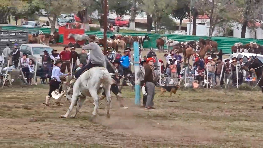 Fortin Gaucho: festejos del 25 de mayo con domas y folclore 