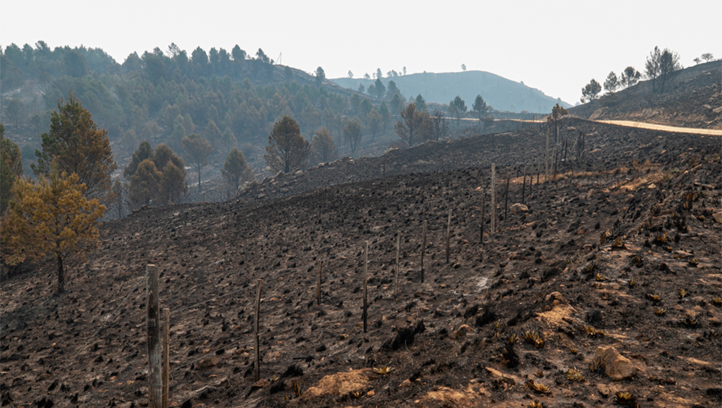 Incendio en Córdoba: contenidos y en guardia de cenizas