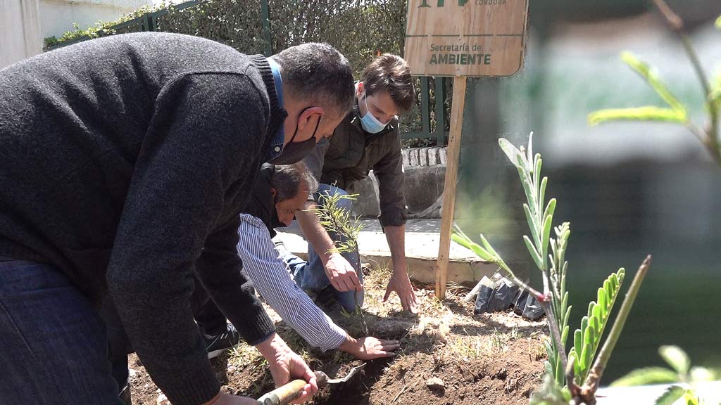 Secretario de Ambiente en Giardino: entrega de árboles para forestación urbana