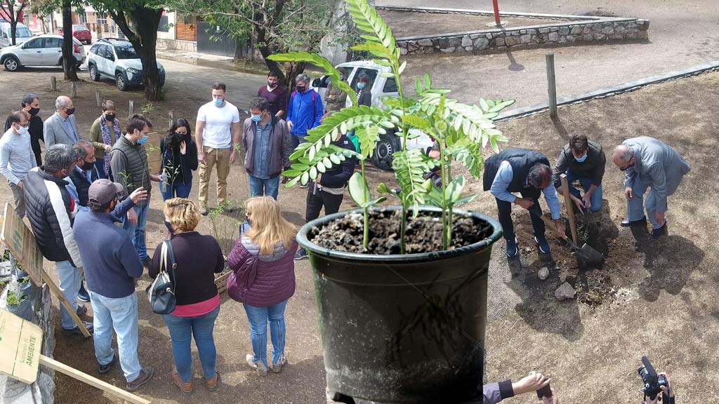 La Falda: recepción del Secretario de Ambiente de plantines autóctonos