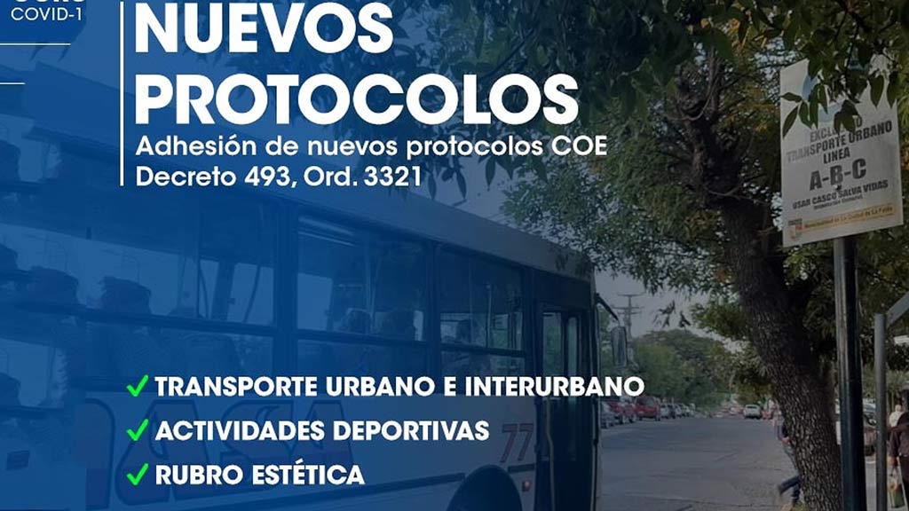 Protocolos de transporte, deportivas y estética