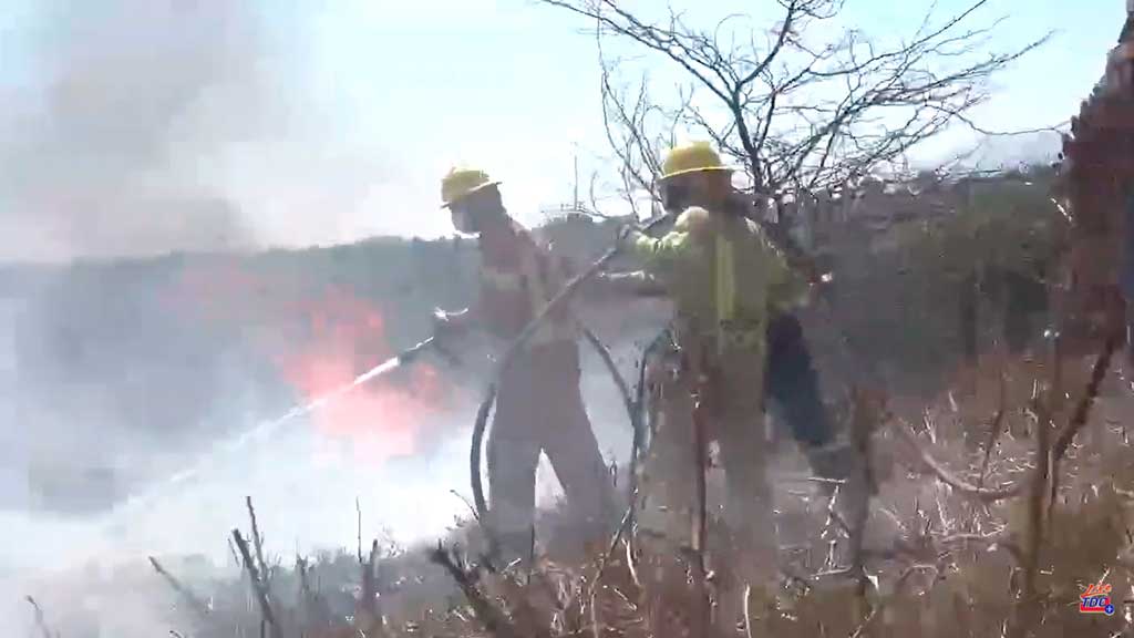 Incendios Giardino: actualización del jefe de bomberos, Eduardo Molinari