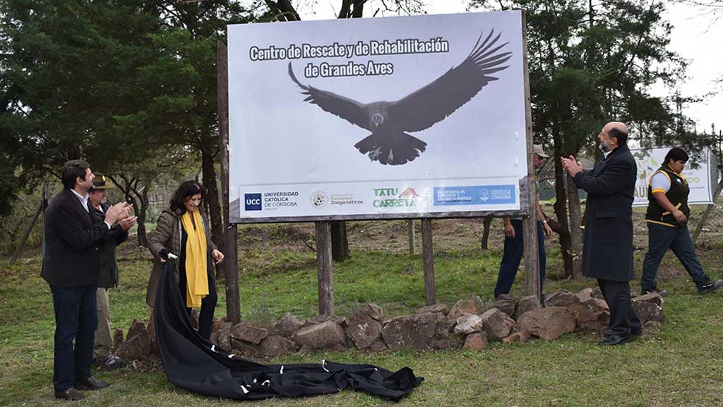 Nuevo centro de rehabilitación para grandes aves en Punilla