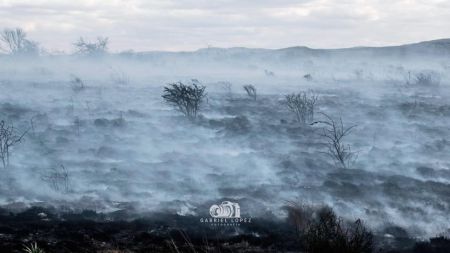 inced-quimbaletes-vg-030723-1-tdcred