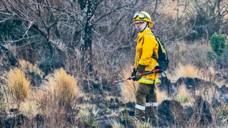 inced-quimbaletes-vg-030723-8-tdcred