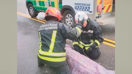 acc-cuadrado-230423-2-tdcred