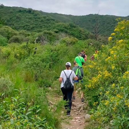 act-deport-vhso-3-110124-tdcred