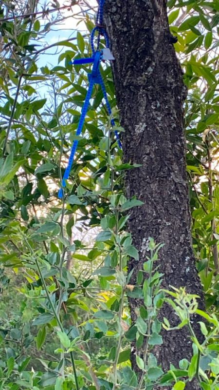 puma-loteo-lf-2-170124-tdcred