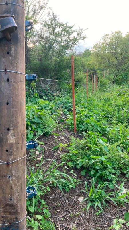 puma-loteo-lf-3-170124-tdcred