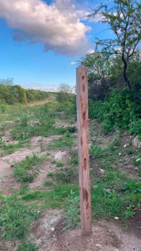 puma-loteo-lf-4170124-tdcred