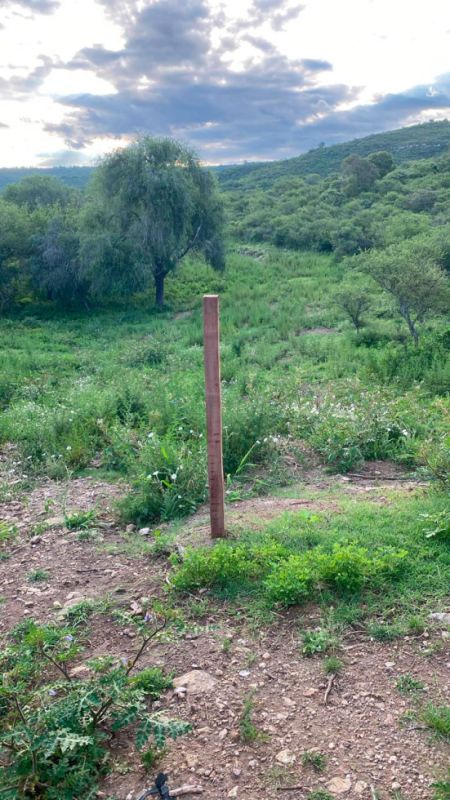 puma-loteo-lf-5-170124-tdcred