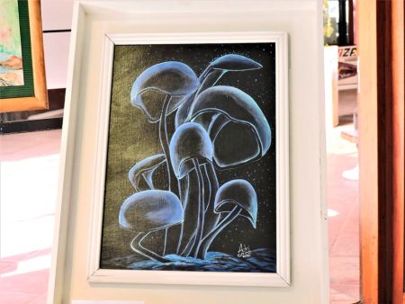 cafe-escr-vg-10-050823-tdcred