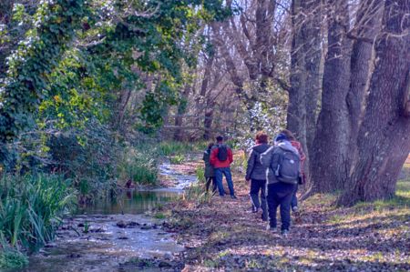 whatsapp-image-2022-06-26-at-2-34-18-pm