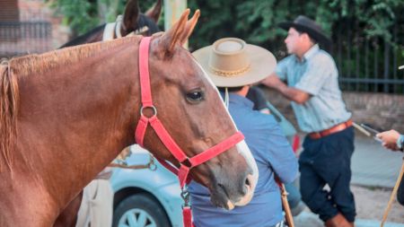 vhso-sub-gauchos-1-090323-tdcred