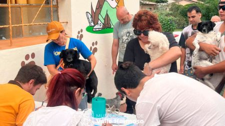 vac-antrrab-vhso-070324-tdcred