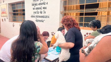 vac-antrrab-vhso-2-070324-tdcred