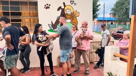 vac-antrrab-vhso-4-070324-tdcred