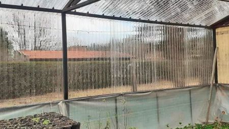 vg-obras-11-050822-tdcred