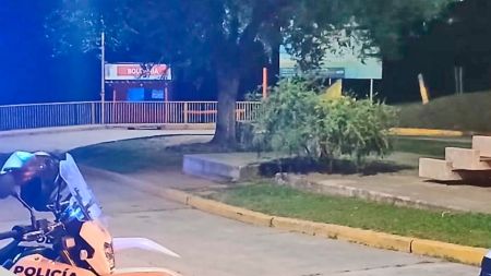 control-guardia-lf-5-030126-tdcred