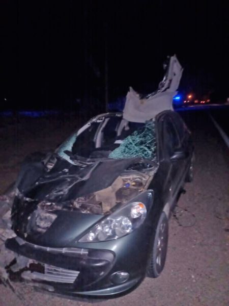 pol-090622-art-tdcred