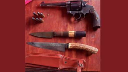 pol-5-140522-art-tdcred