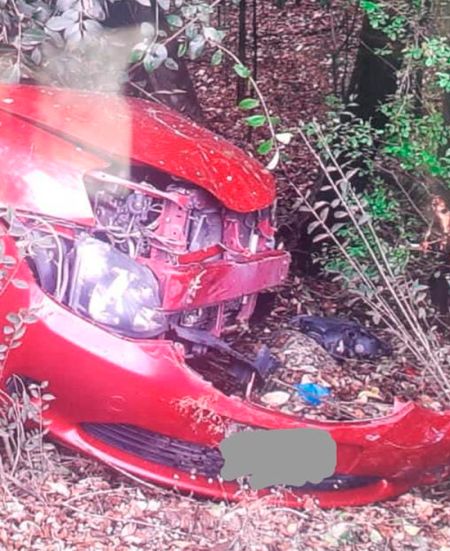 pol-5-220922-art-tdcred