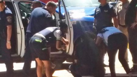 polic-lf-lc-100323-tdcred