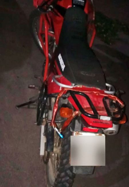 polic-puni-norte-1-080424-tdcred