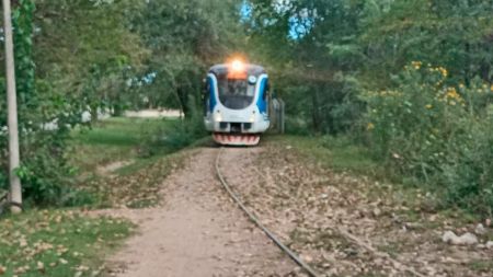 tren-hta-1-170423-tdcred