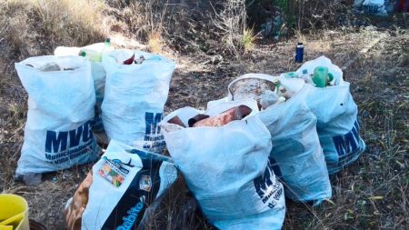 tren-limp-ago23-1-tdcred