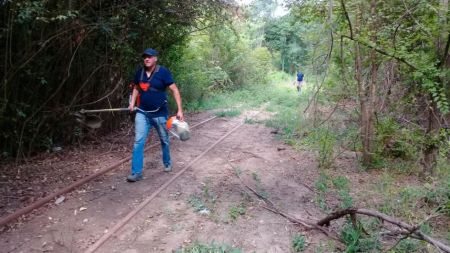 tren-limp-ago23-10-tdcred