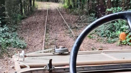 tren-limp-ago23-14-tdcred