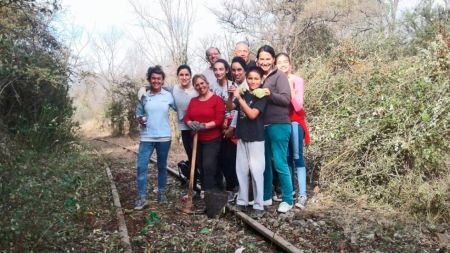 tren-limp-ago23-3-tdcred