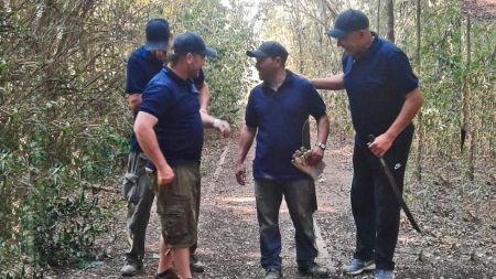 tren-limp-ago23-5-tdcred