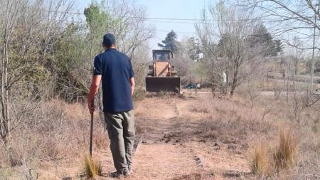 tren-limp-ago23-6-tdcred