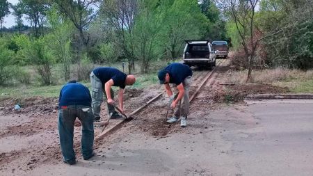 tren-limp-ago23-8-tdcred