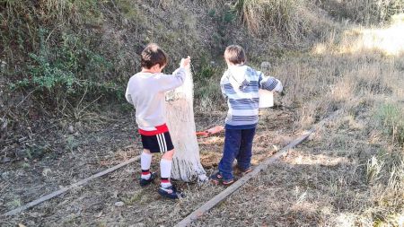 tren-limp-ago23-tdcred